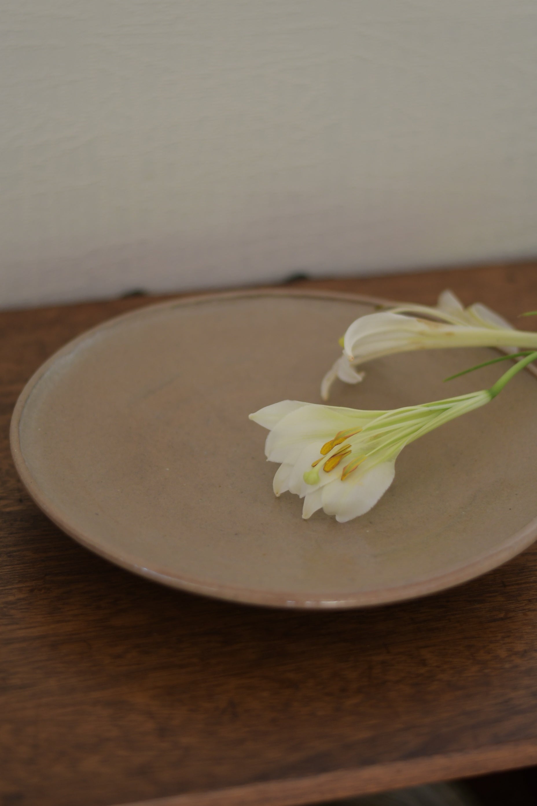 村木雄児｜唐津鉢F（薪） | UTSUWA-HOTARU online store